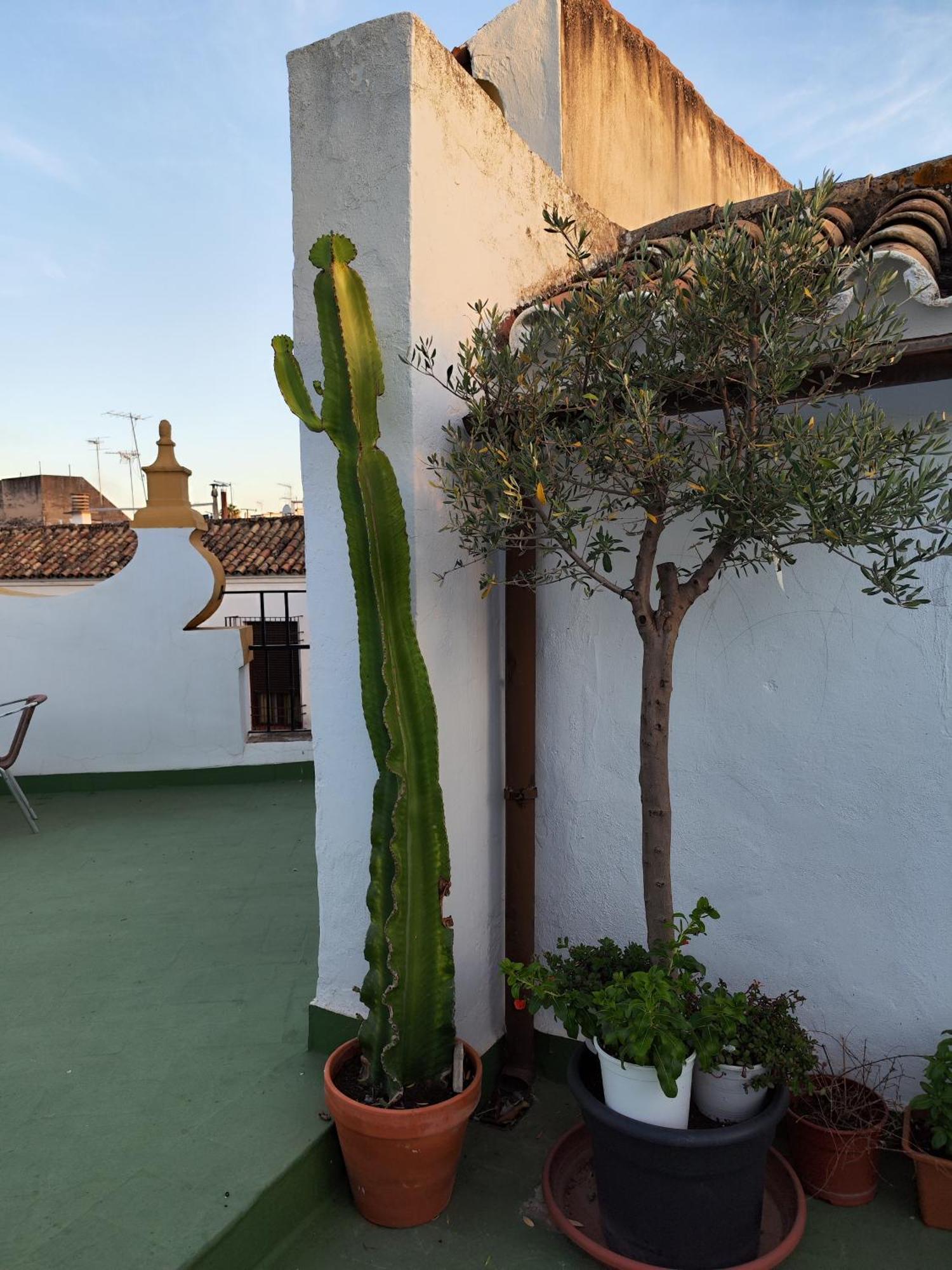 Casa Paliani Villa Cordoba Exterior photo